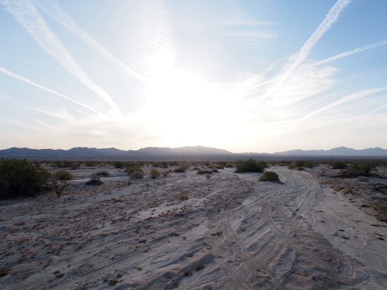 Sunrise in the Mojave.