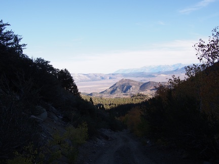 The drive to the campsite