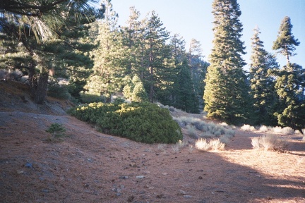 The hike starts at about 6,500' elevation.