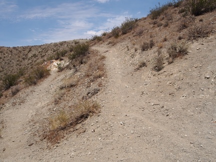 Trail to the mine claim
