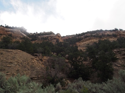 Looking up the canyon toward the mine